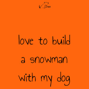 Hoodie snowman  Design